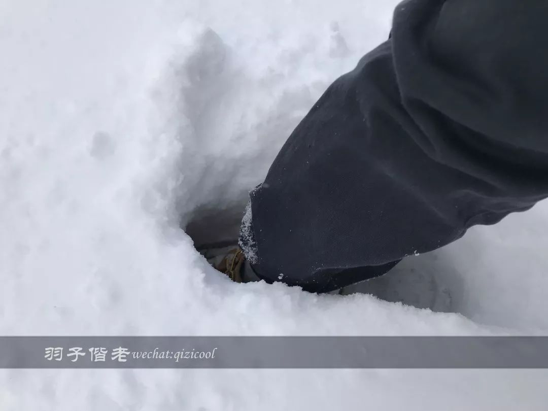 老实说，这一趟北海道就是为了拍好看的照片去的