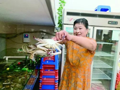 以景留人的獐岛：从向海而生到为岛守绿