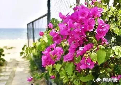 《家庭兴旺歌》《和谐歌》《夫妻歌》太绝了!句句精辟