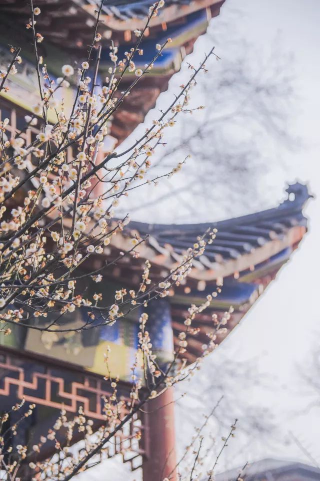 武汉是世界面积最大的一个市,武汉面积最大的小区