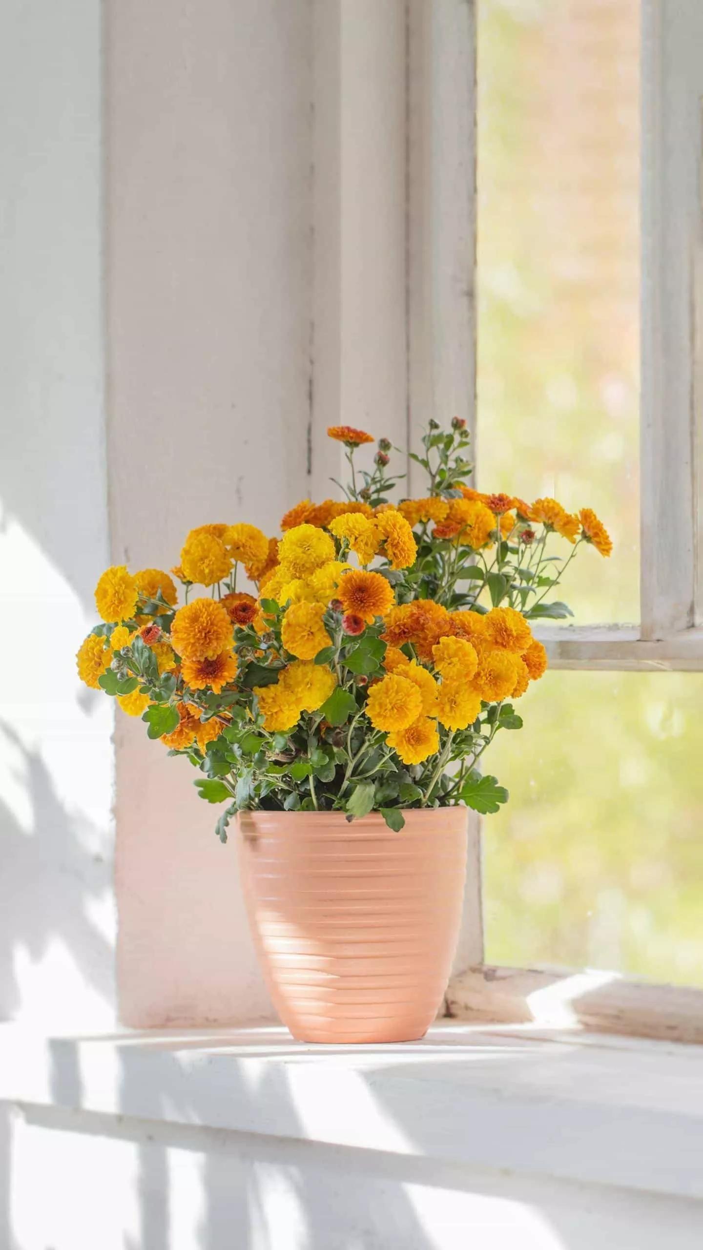 健康又快速减肥食谱,快速健康减肥一日三餐