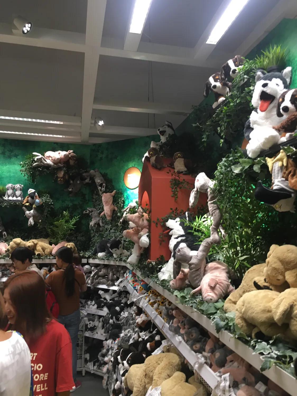 郑州宜家到底啥时候开业,郑州宜家开业第7天