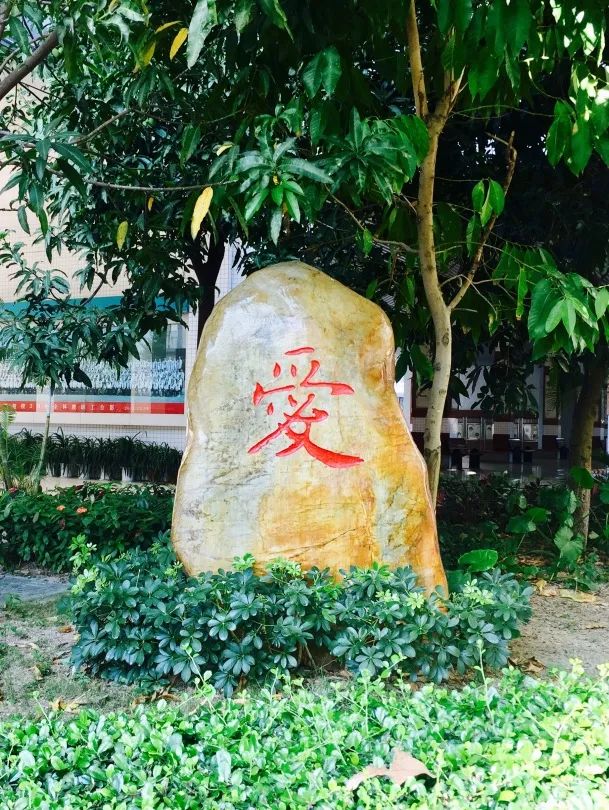 深圳宝安中学前200名有希望吗,宝安中学全省排名