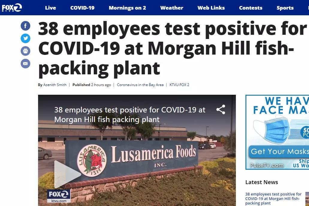 全球疫情影响工厂停工,全球疫情导致公司倒闭数量