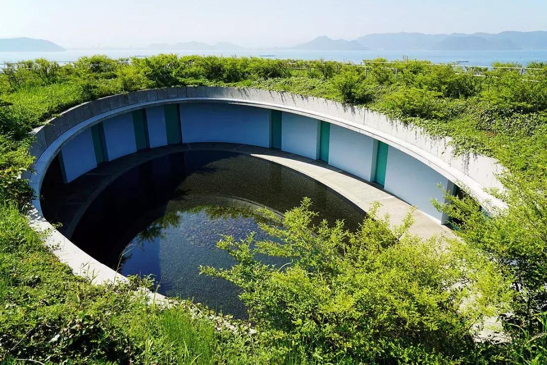 当景观遇上设计,当景观植物遇见灯光