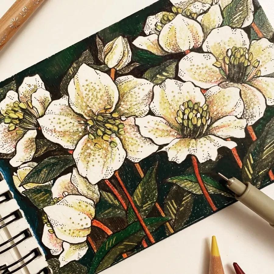 一看就懂的针管简笔画,针管笔入门手绘1000例临摹图