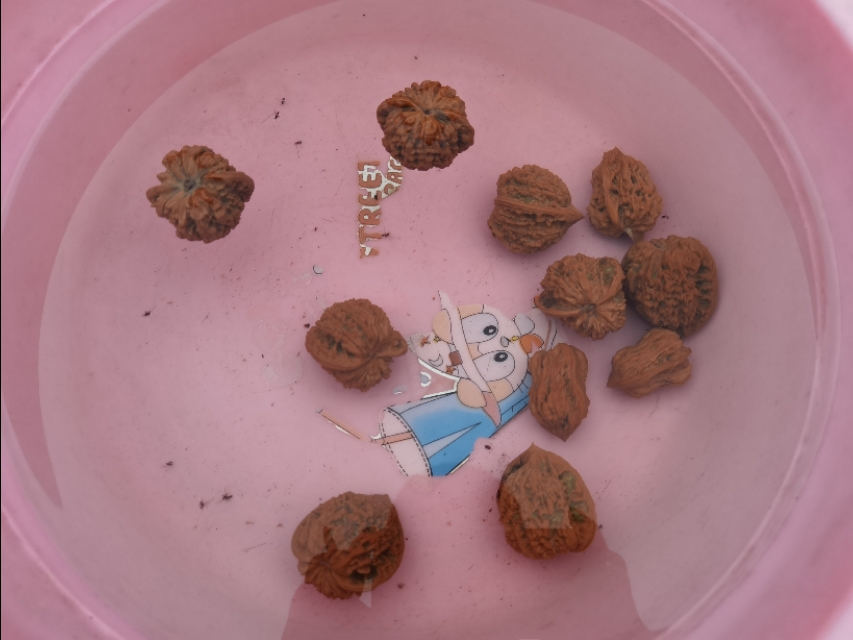 宿在驼梁，感受一种无忧的生活/郝贵云