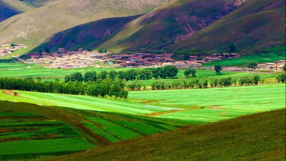 沧州这一“狮城”,濒临渤海成为产盐基地,被称作“水旱码头”