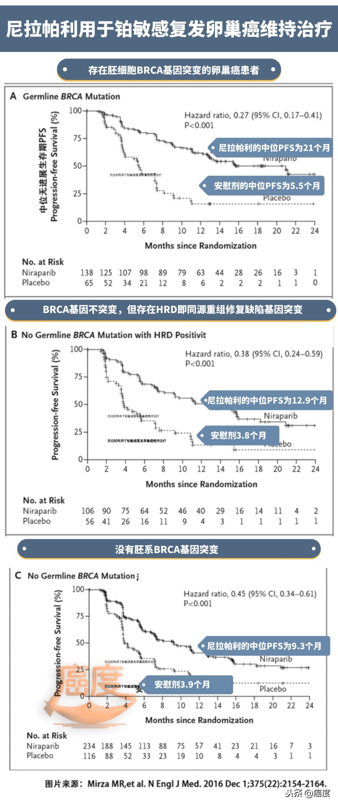 协和妇科向阳讲卵巢癌,卵巢癌攻克新消息