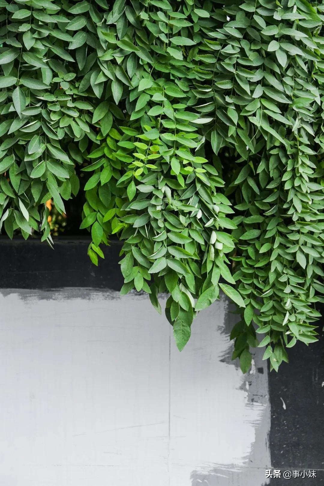 科华北路美食,科华北路美食攻略