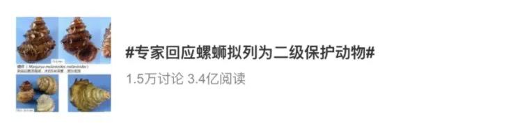 广西哪种螺蛳粉比较好吃,吃过不容错过的广西正宗螺蛳粉