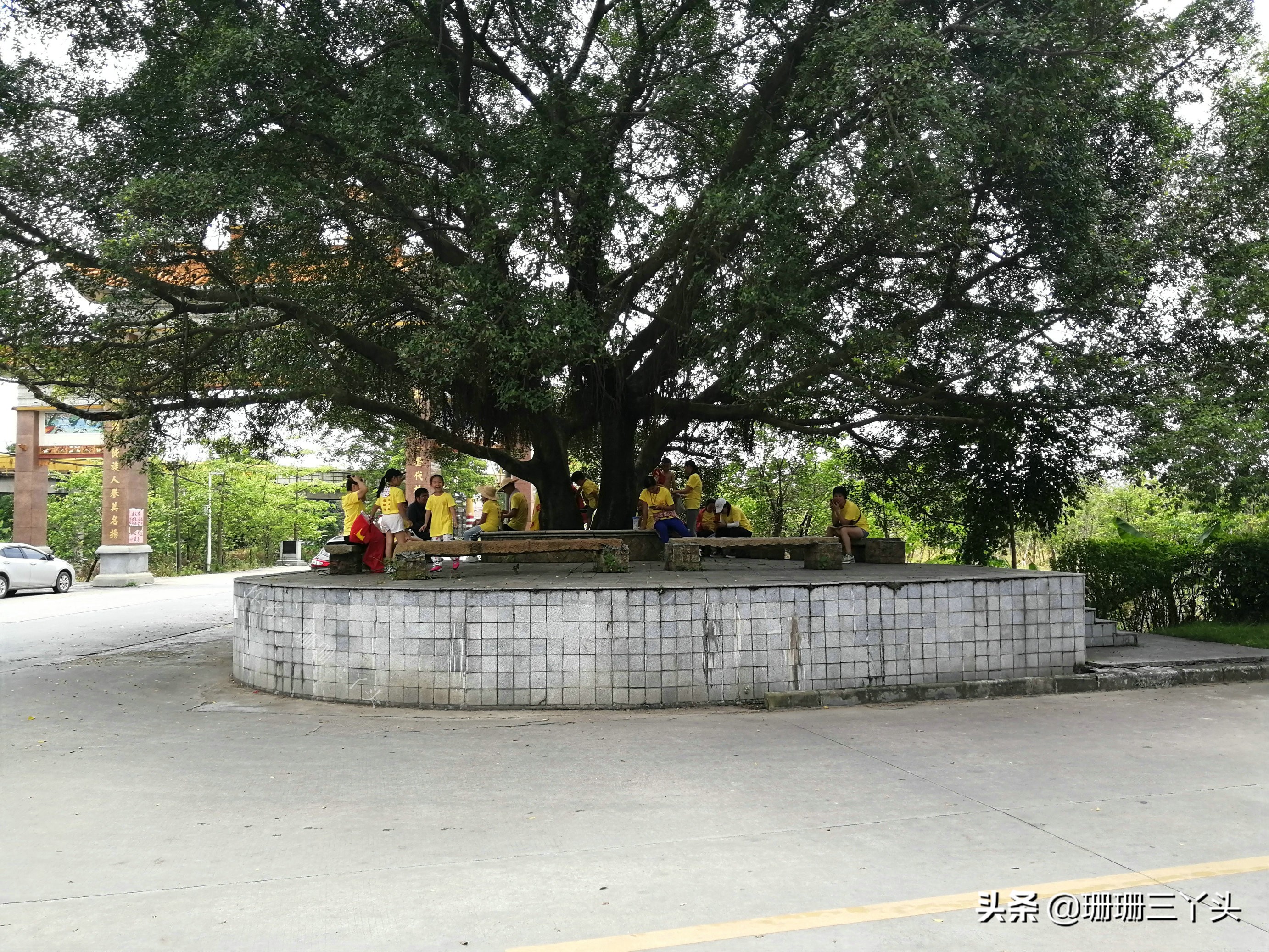 广州郊外古村，村始祖如何从养鸭专业户，到建“人才辈出”村子