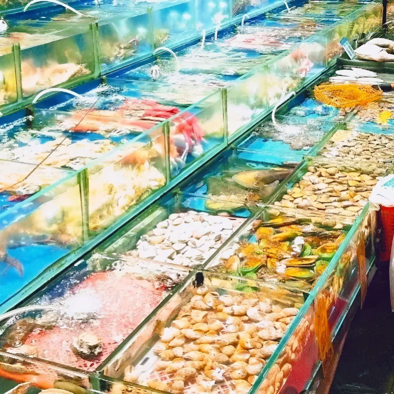 这个春节怎么过一大波攻略来啦,春节期间的最全攻略