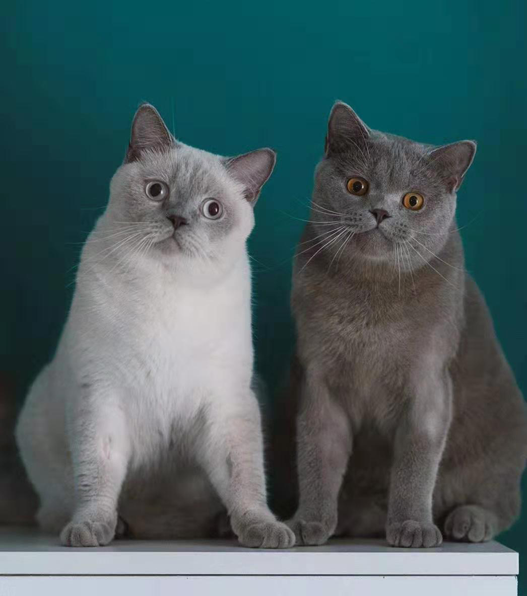 全包装修步骤及施工顺序,半包装修需要买什么主材