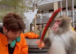 关于dr钻戒的购买方法,dr钻戒是不是真的只能买一枚