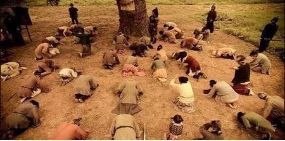 国槐的传统文化,国槐历史文化