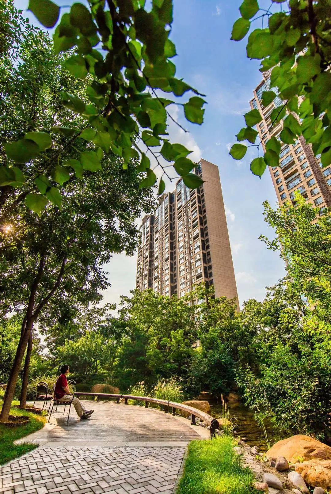 樱桃看房｜老朋友，好久不见之「唐城·壹零壹」