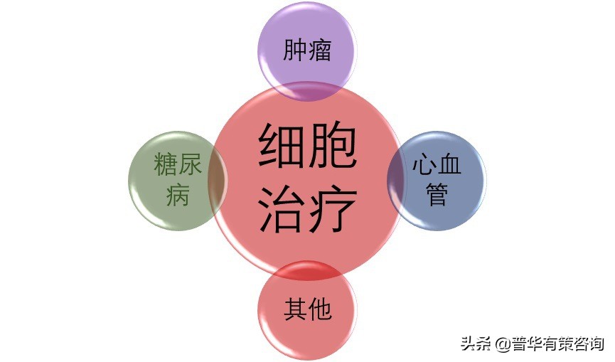 全球细胞治疗产业发展现状,细胞治疗研发现状