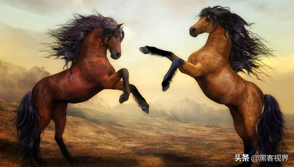 双重暴击!恶意文件同时传播Revenge和WSH远控木马