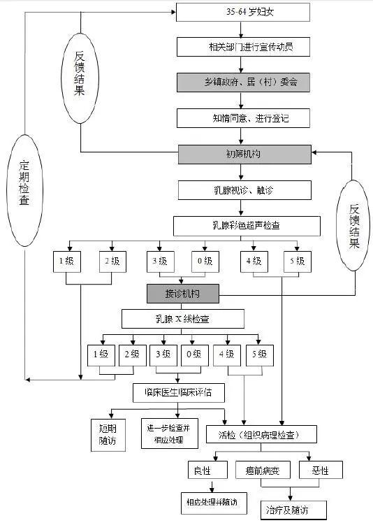 好消息|昌乐35-64岁的妇女注意了！快来检查