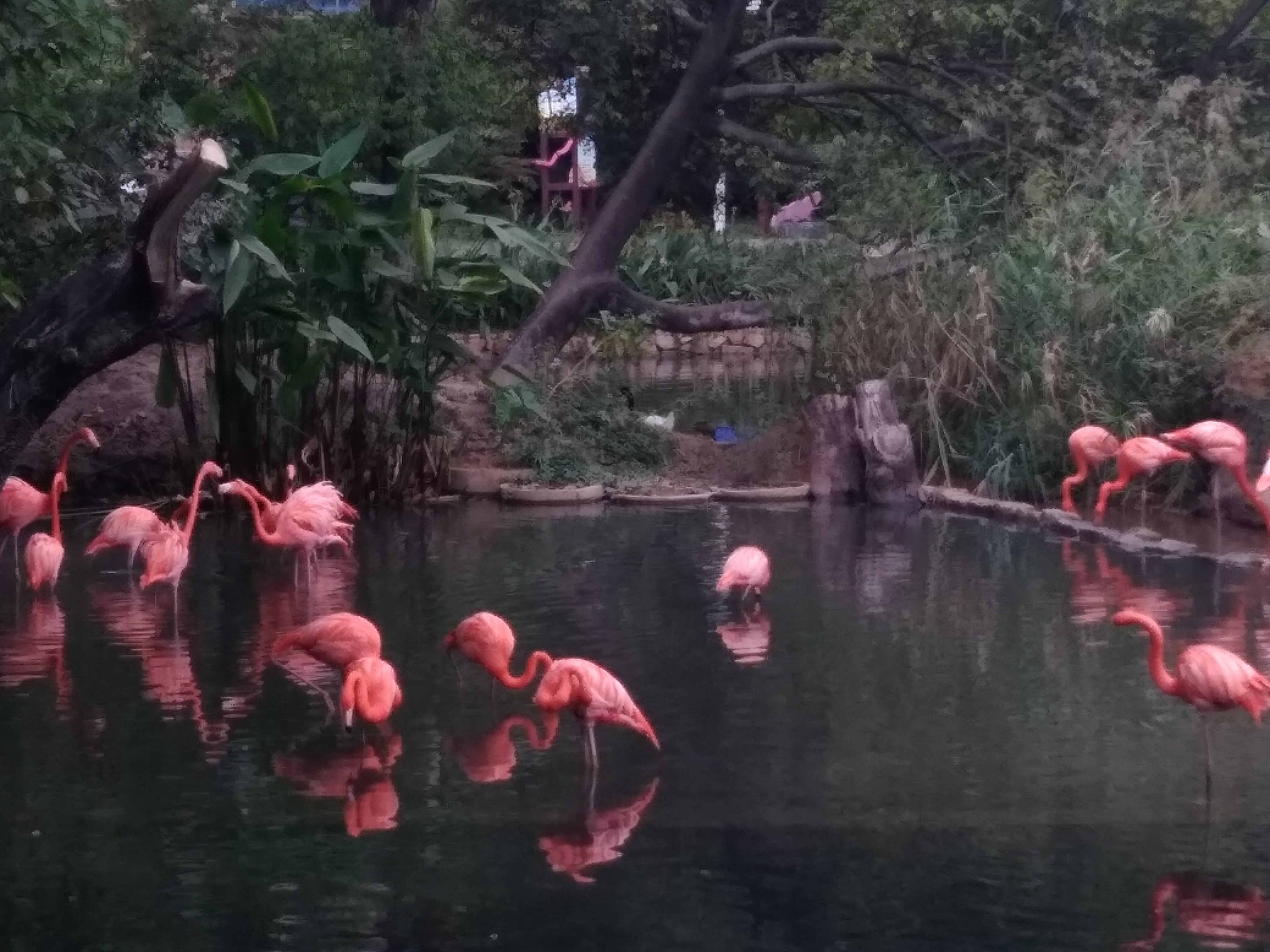 2022元旦广州有哪些好玩的地方,元旦广州哪里玩最合适