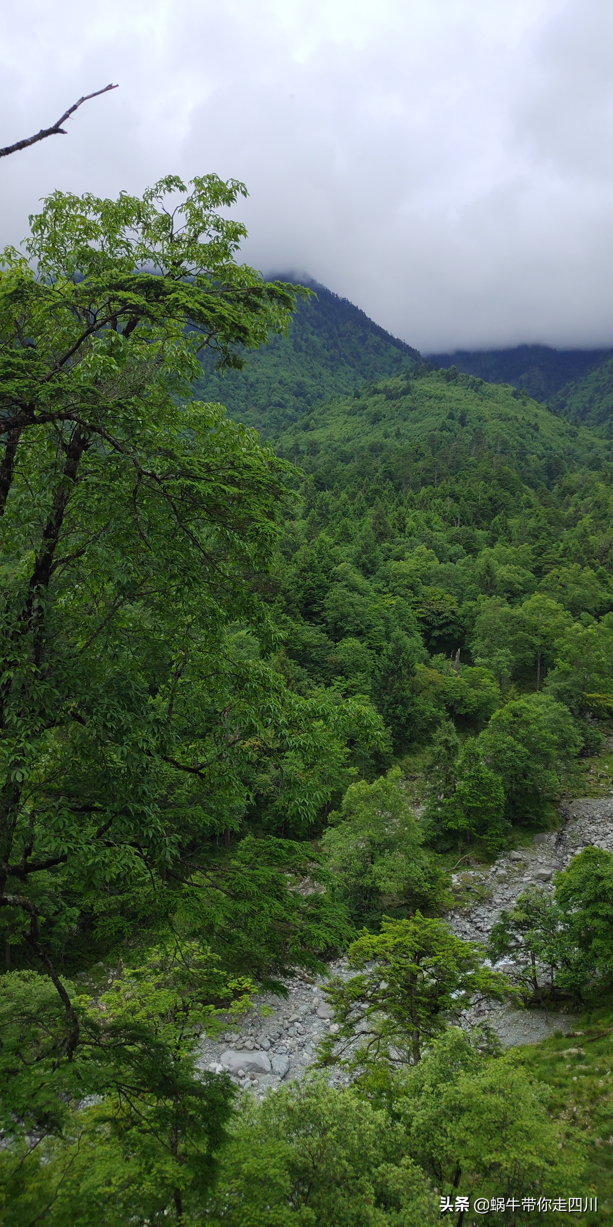 带小朋友出去看小动物,带小孩去海洋动物园