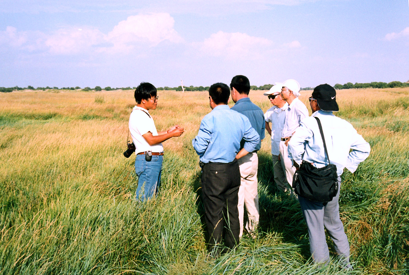 高效生态农业规模化,高效生态农业项目简介