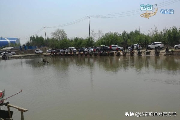 垂钓园黑坑钓场,沈阳丁香湖垂钓园黑坑