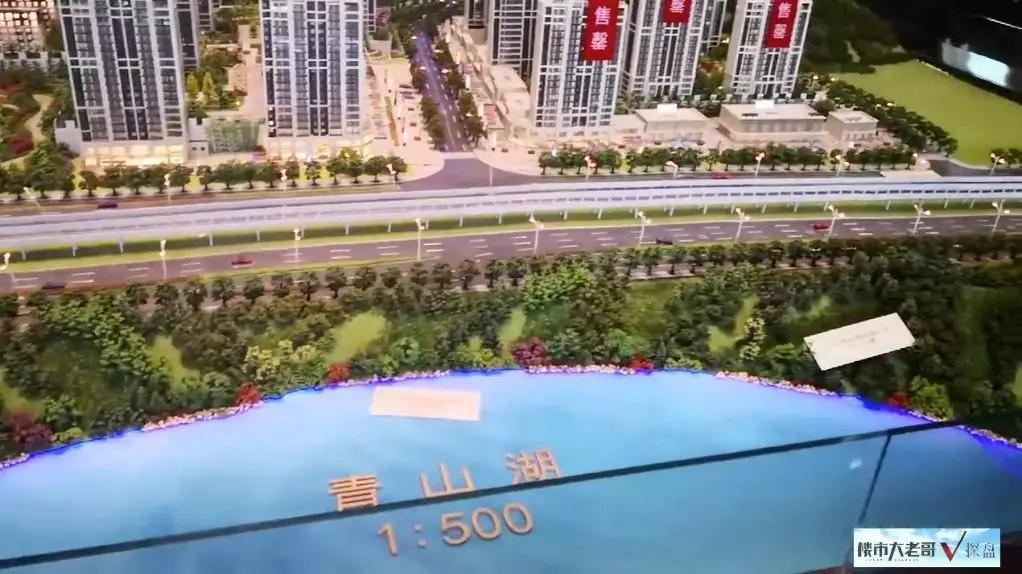 青山湖科技城凉风再起,地铁盘还能不能买?|老哥V探盘