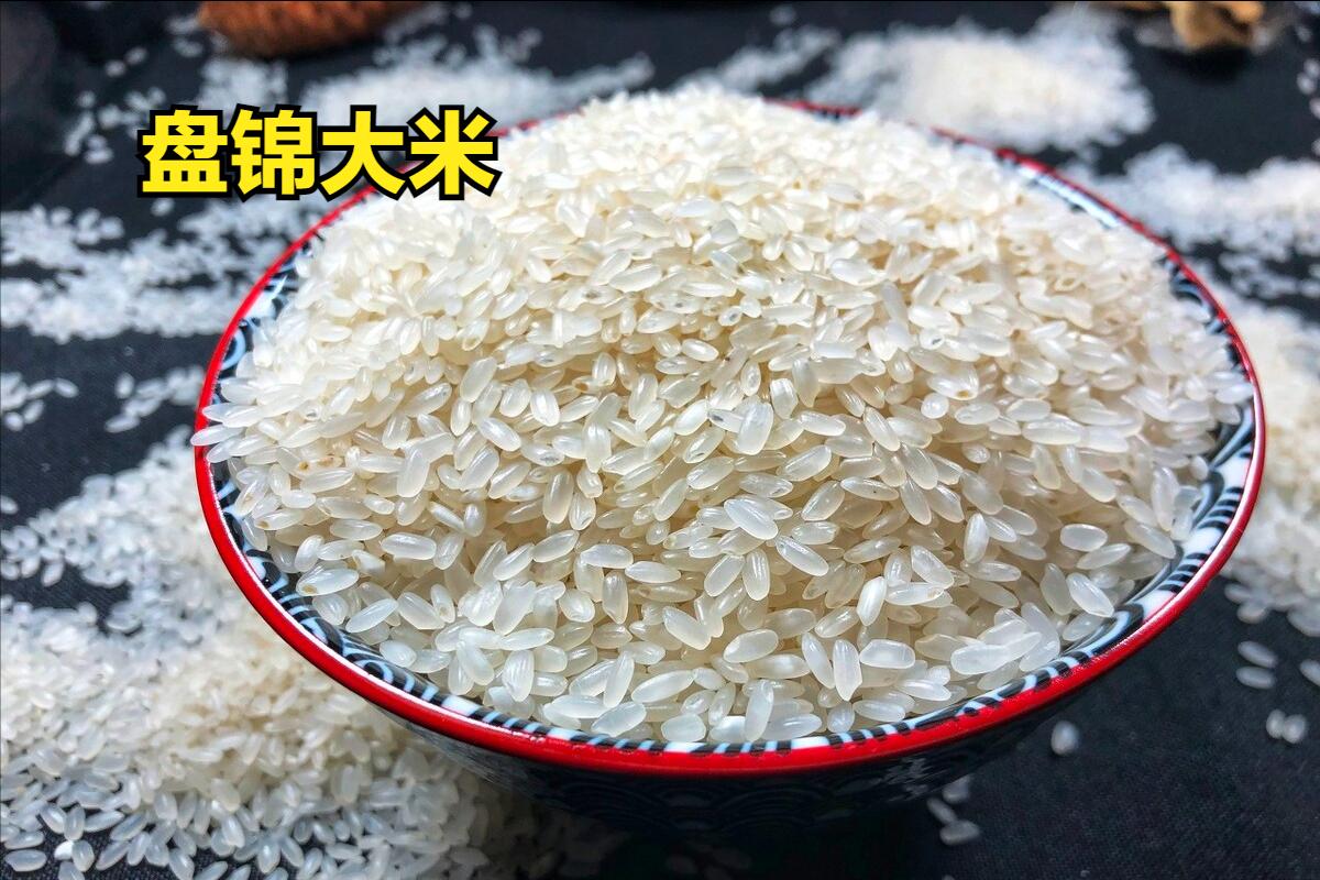 全国最好吃的大米有哪些,大米排名好吃的是哪种米