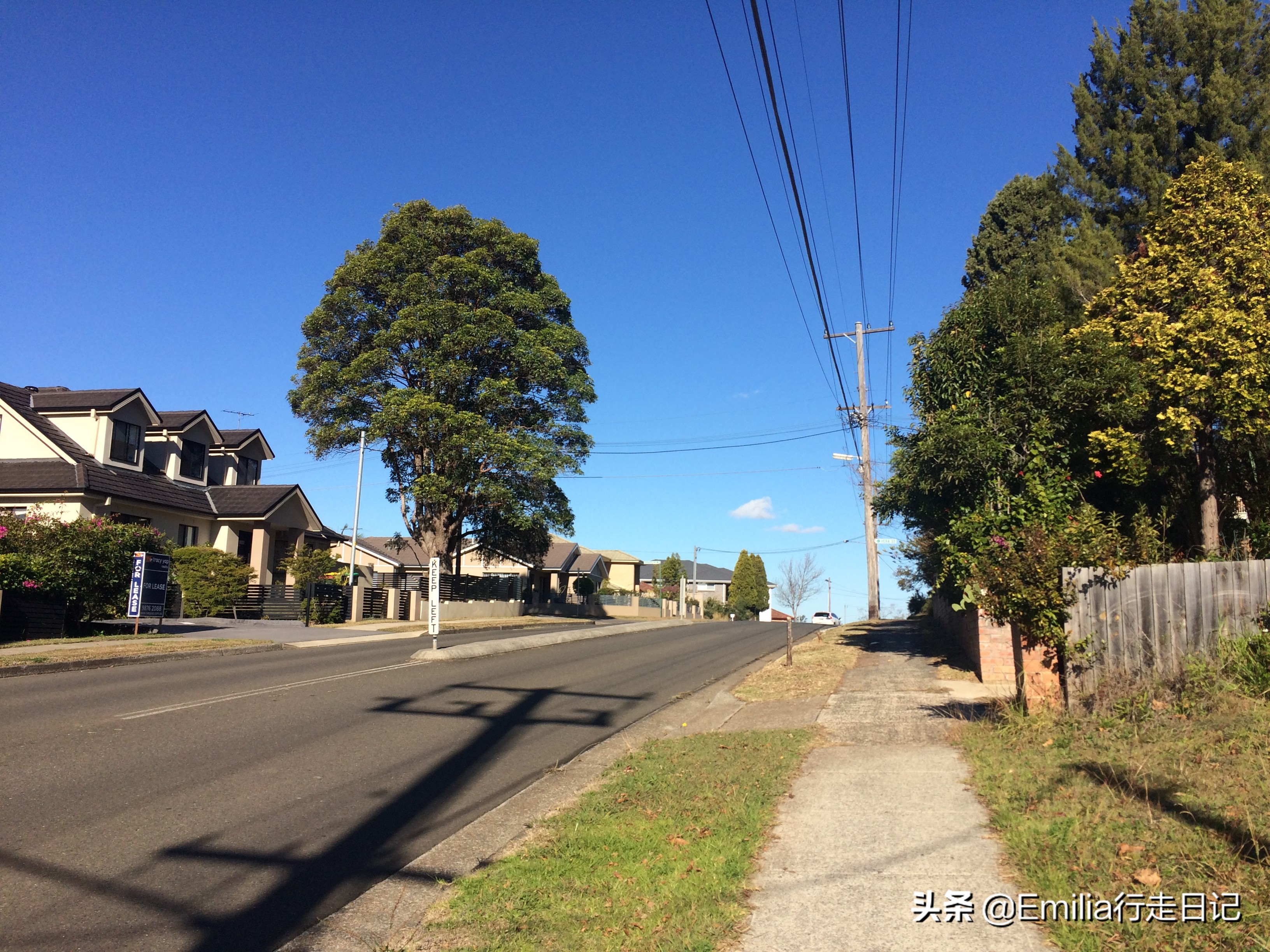 澳洲人居住的真实生活,在悉尼的感受