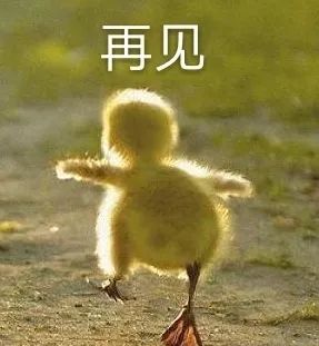 秋冬美鞋,秋冬新款美鞋