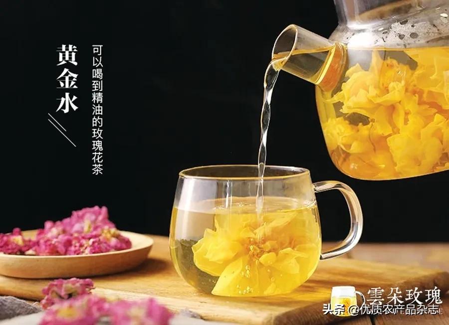 美丽健康、治沙脱贫,打通玫瑰产业链,她的云朵玫瑰开出别样美丽