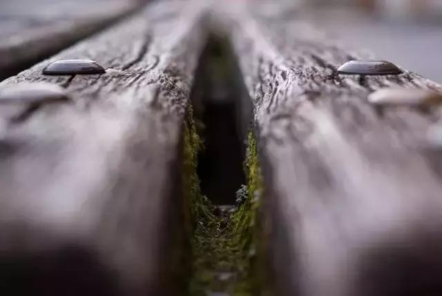 3秒钟搞懂圆的面积,景深入门基础教程