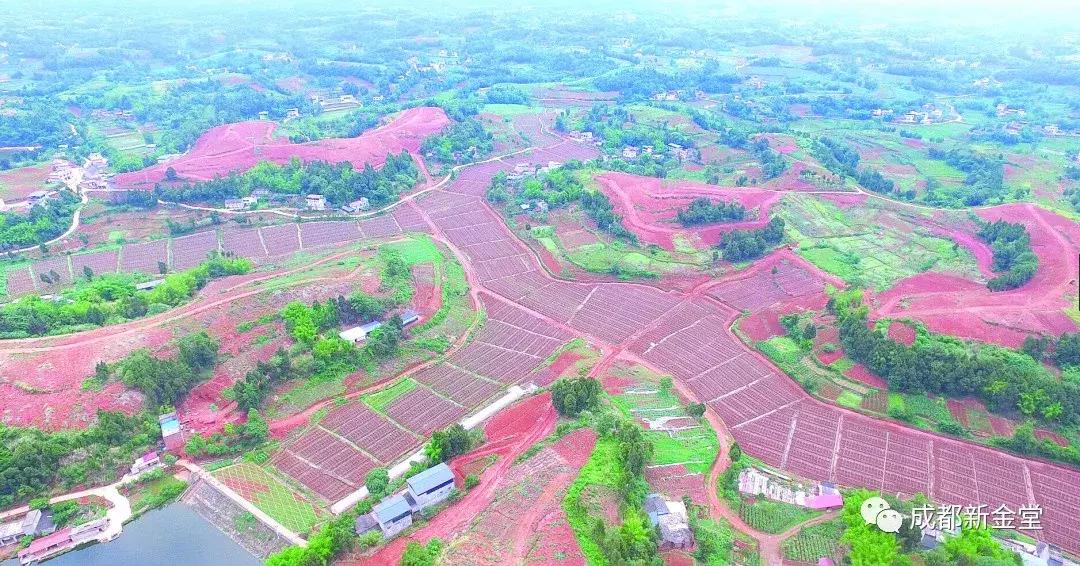 大动作规划建设高铁新区,金堂县2023年重大建设项目