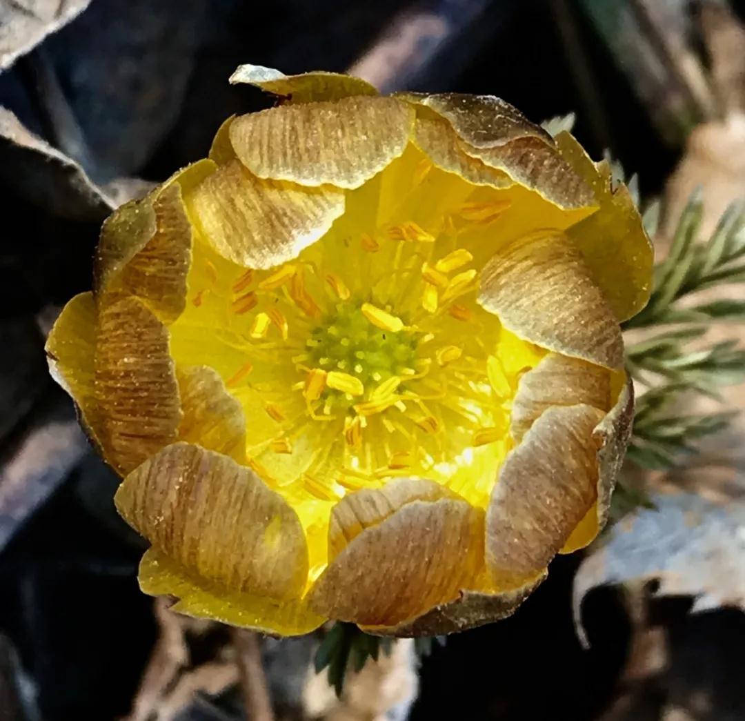 林业生态旅游科普,林草科普