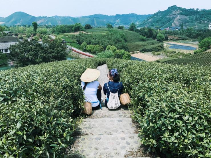 驴妈妈3.28会员日喜迎“春游季”第2份半价、领券最高减1100元