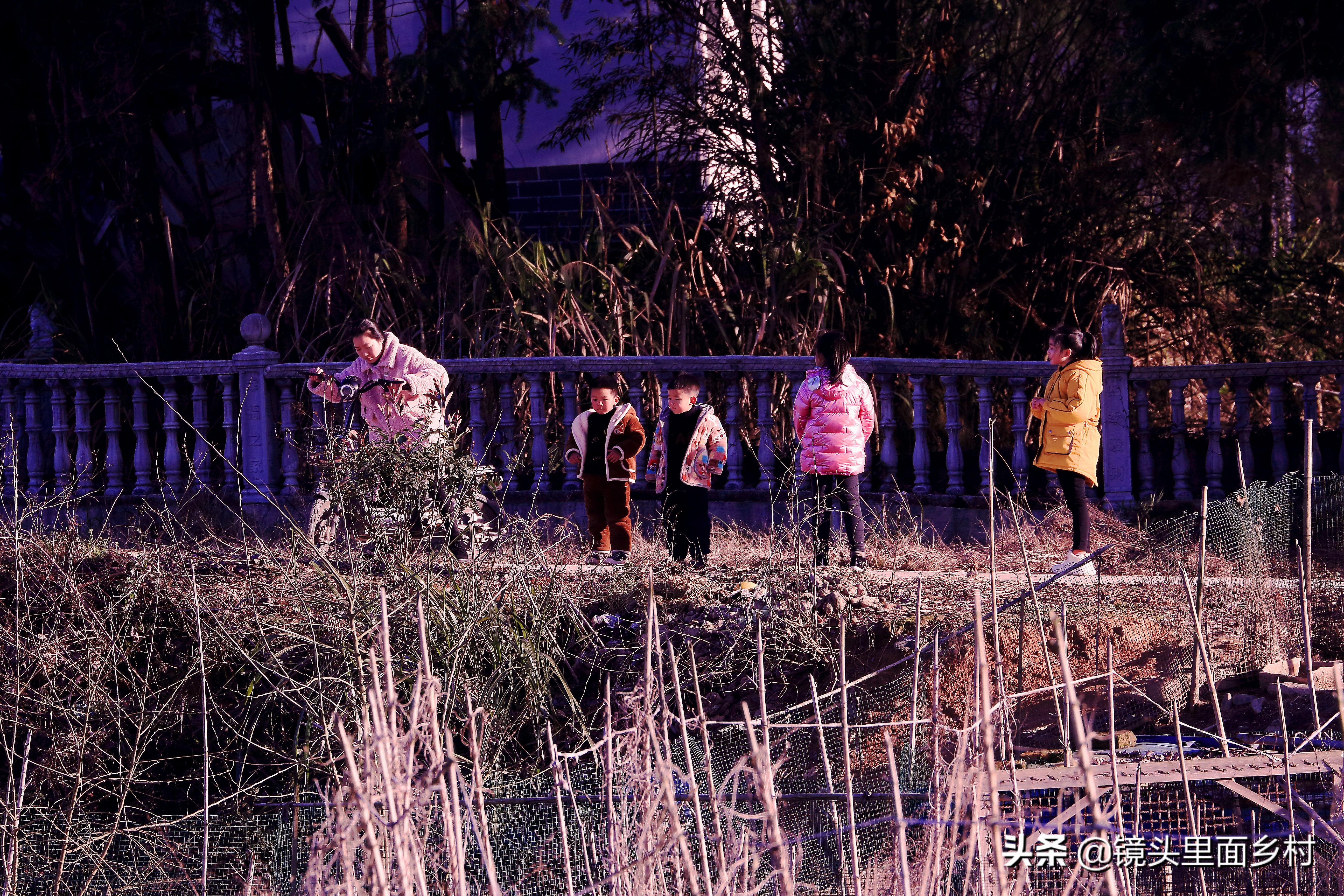 江西修水县何市镇奇异的风俗,元宵节要打大龄未婚男女屁股