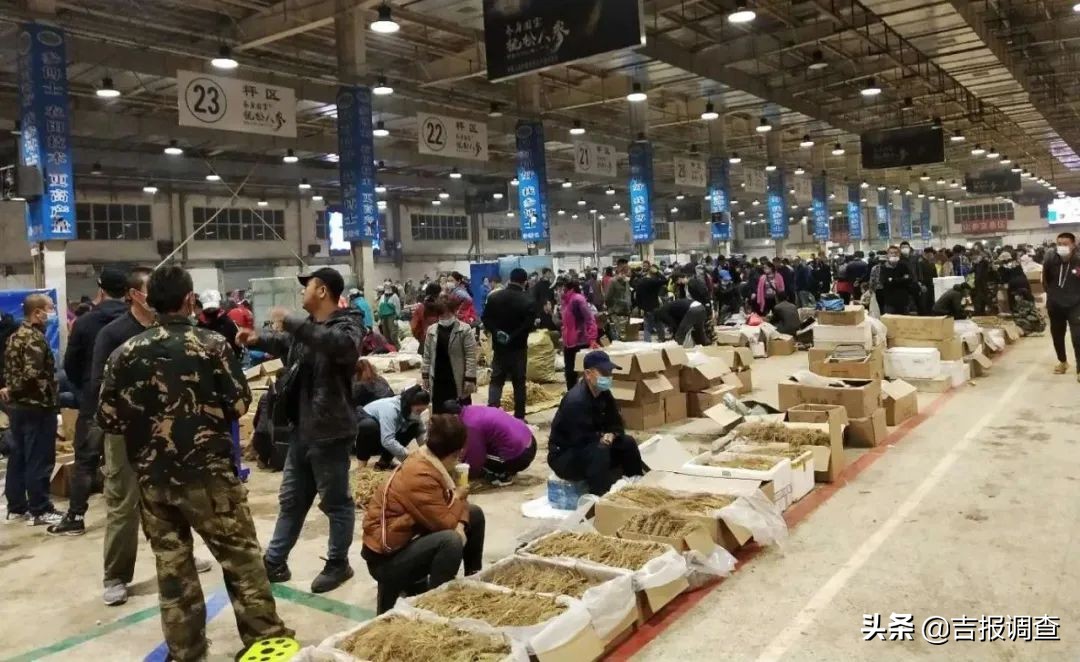 参农的感受,参农带你了解人参知识