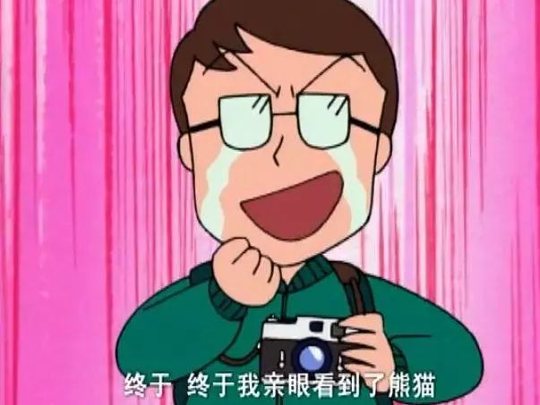 马来西亚为啥退换大熊猫,马来西亚退还中国大熊猫是真的吗