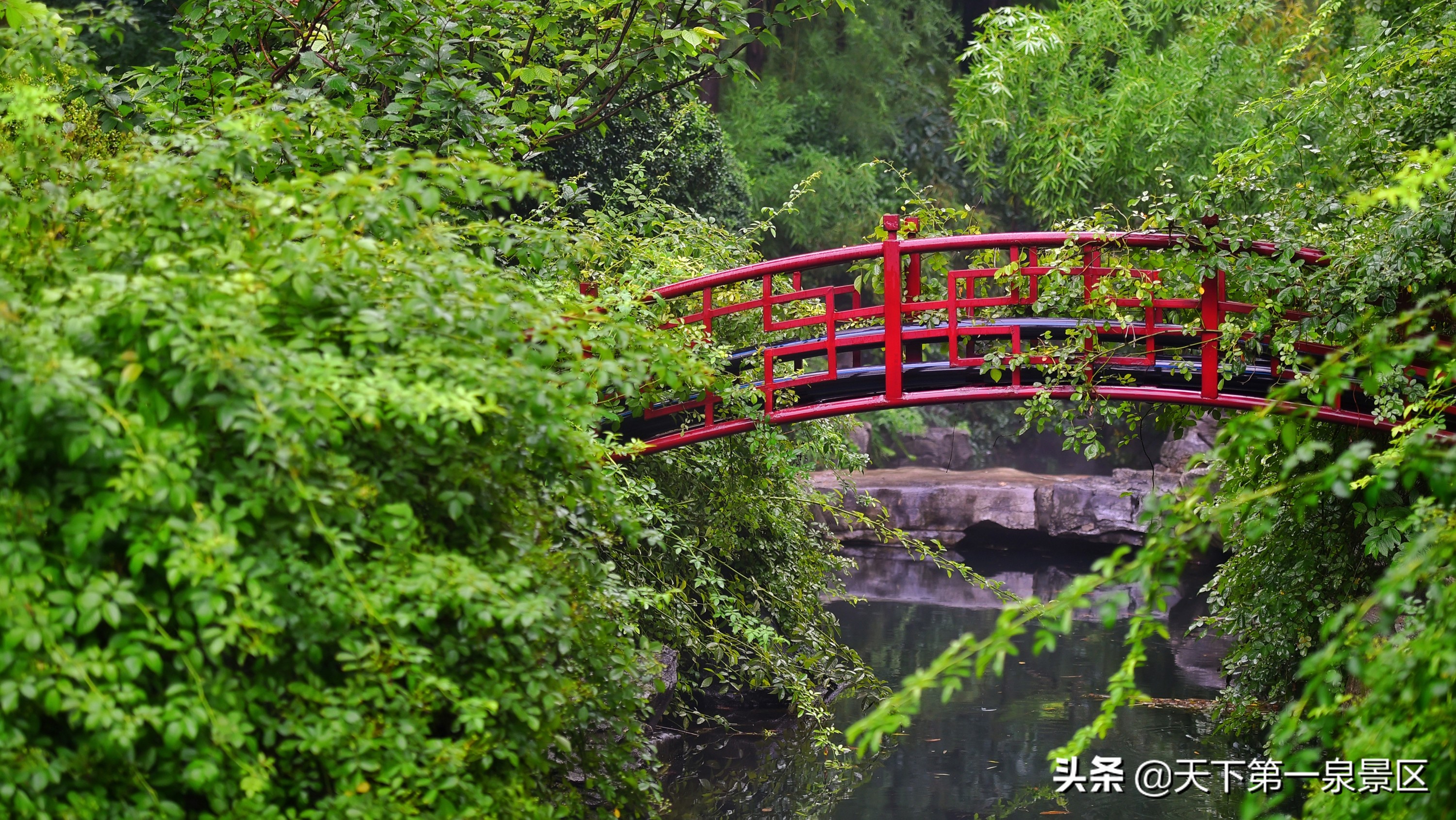 五龙潭的传说视频,有关五龙潭的美丽传说