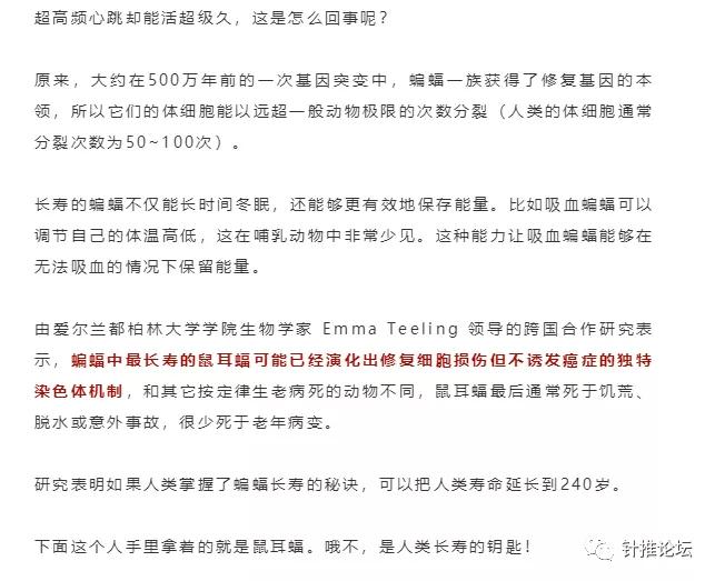 蝙蝠那么多病毒为什么不灭绝它,蝙蝠为什么是奇葩动物呢