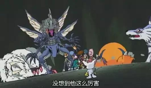 假如自己变成猫是什么体验,从人类变成猫是什么体验