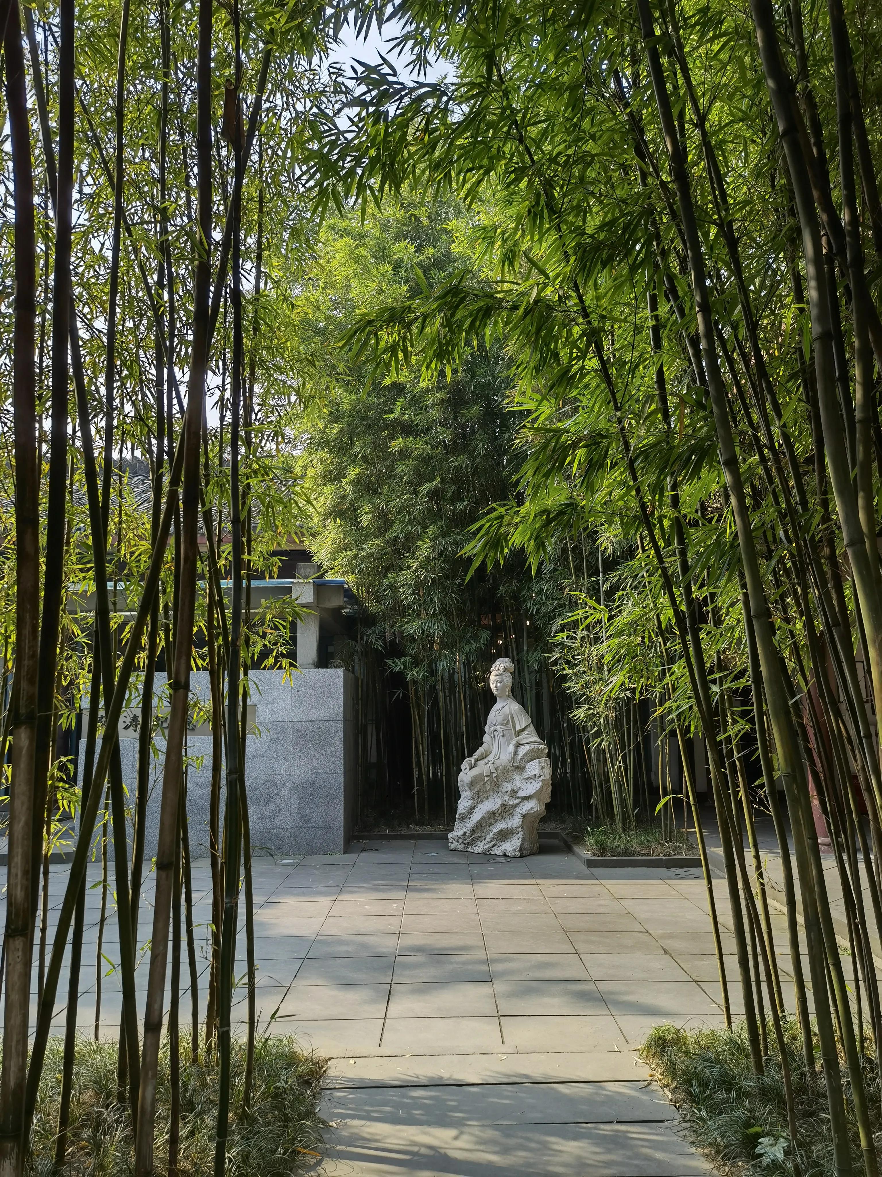 一分钟带你游遍全国,一分钟带你逛完公园