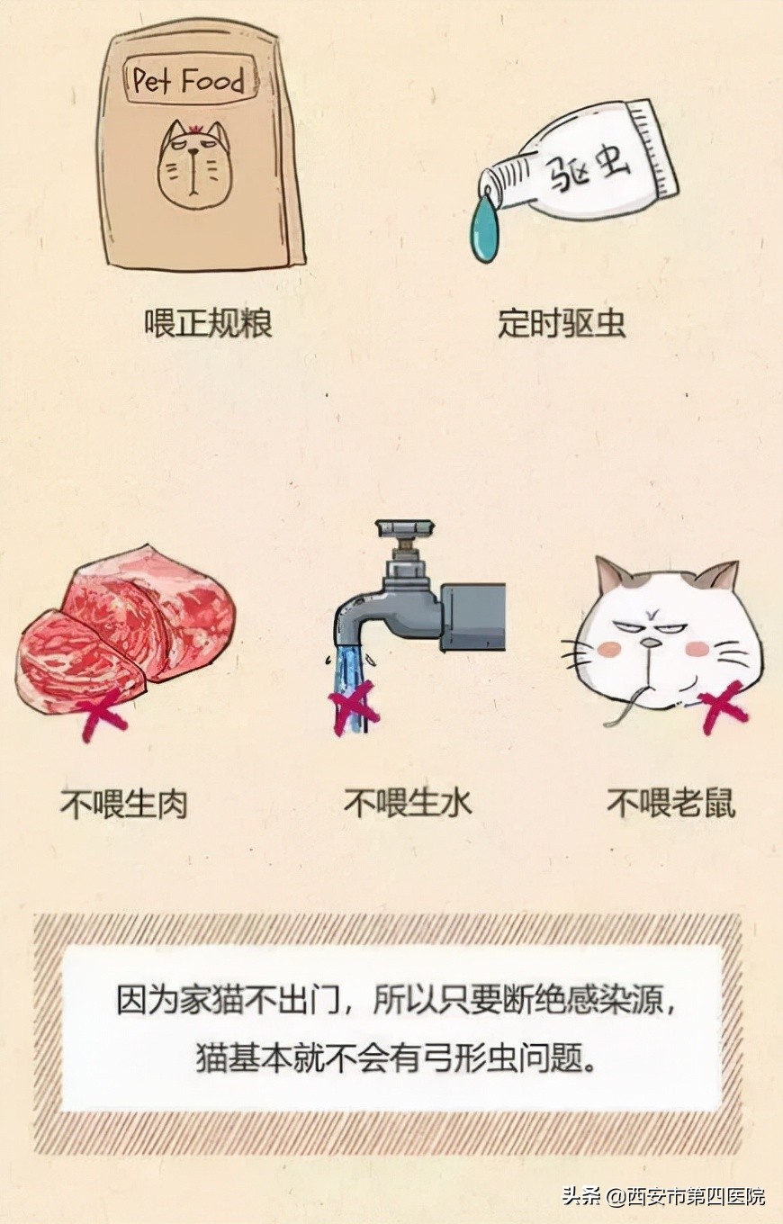 健康中国2030预防大于治疗,健康中国行动新生儿科