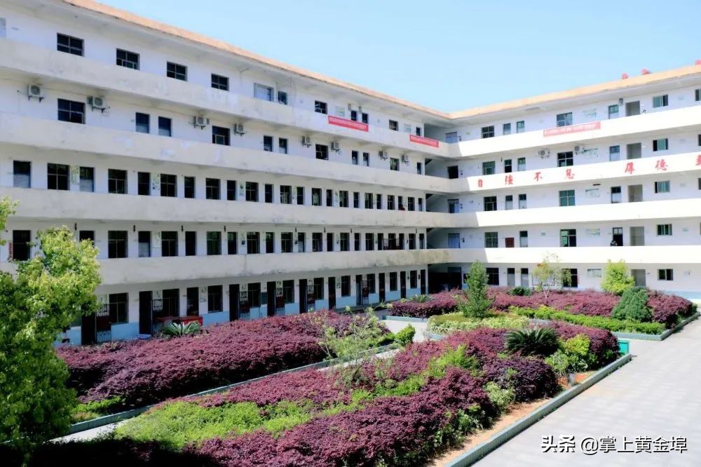 黄金埠有望改名的大学,梅港黄金埠学校