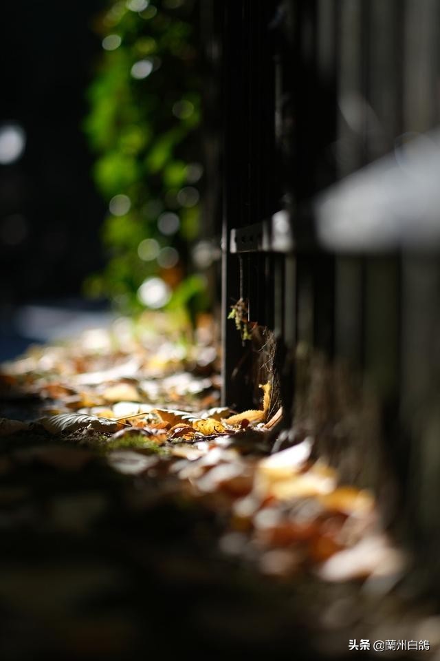 2020年照相机排行榜,2022年值得入手照相机