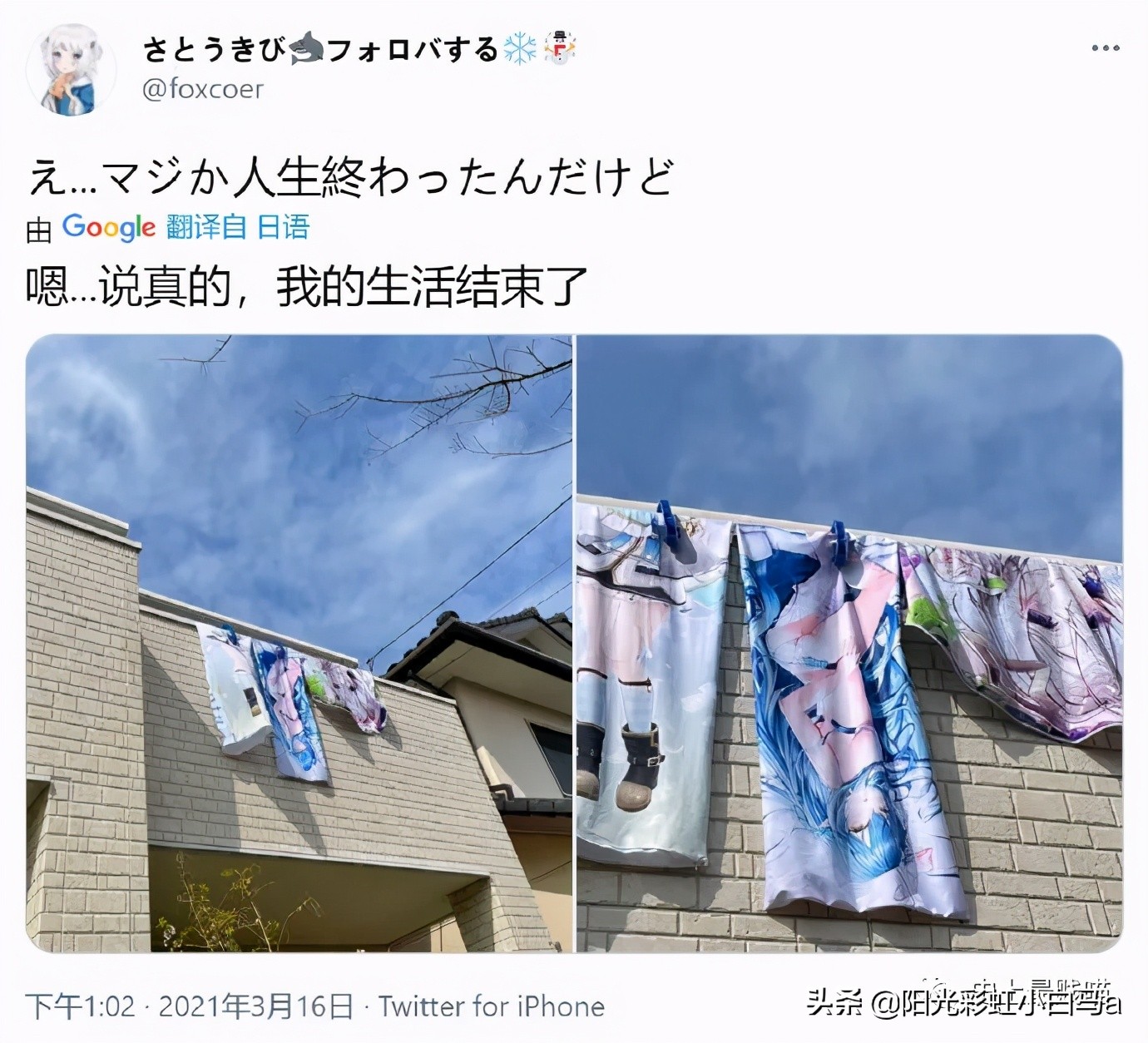 李英爱学腹语,2015韩国小姐李英爱腹语视频