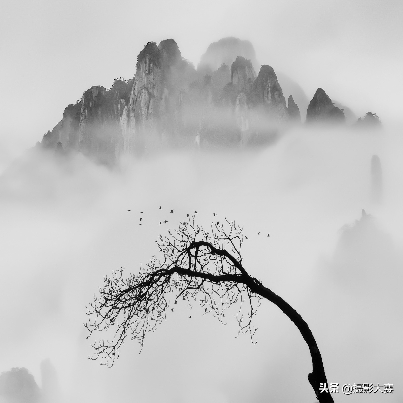 尼康摄影大赛什么时候开始,2023尼康摄影大赛官方网站