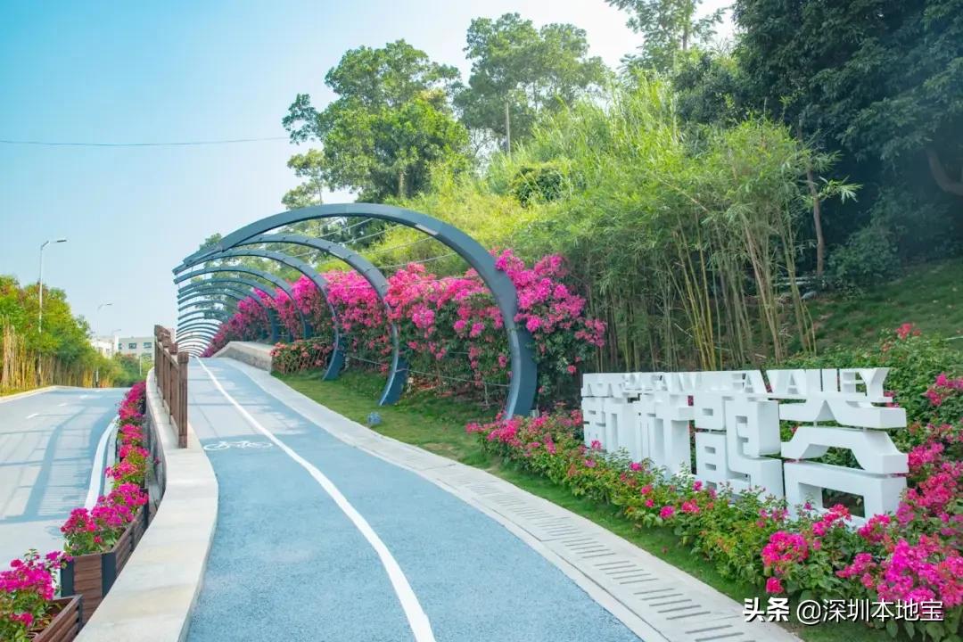 深圳完全免费的十大景点,深圳10大免费景点上集